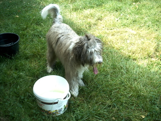 Wasser...ich brauch Wasser!