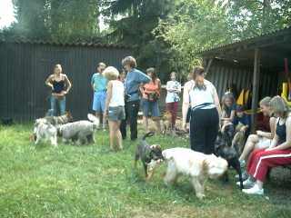 Nicht nur die Hunde freut das Treffen